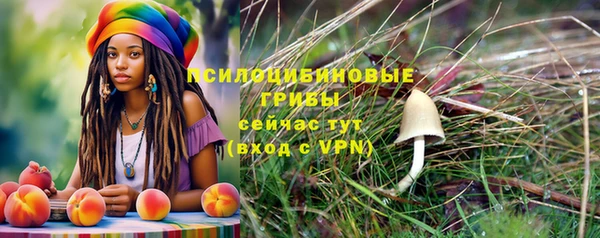 ALPHA-PVP Ветлуга