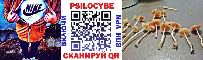 Галлюциногенные грибы мухоморы  купить   Пустошка 